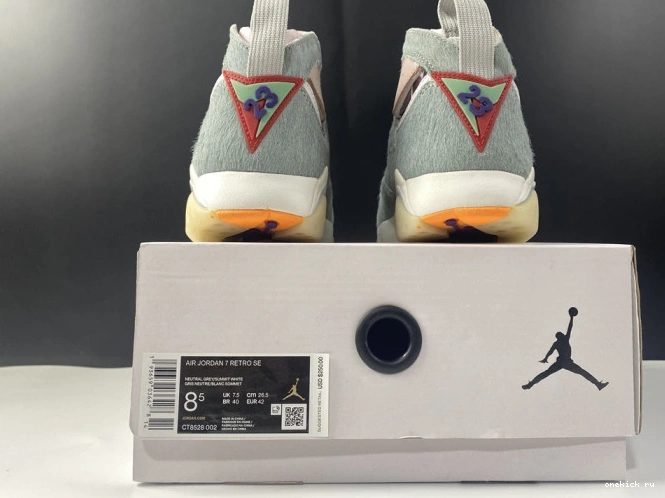 Chep Onekick Grey Retro Jordan Air Neutral CT8528-002 7 0707